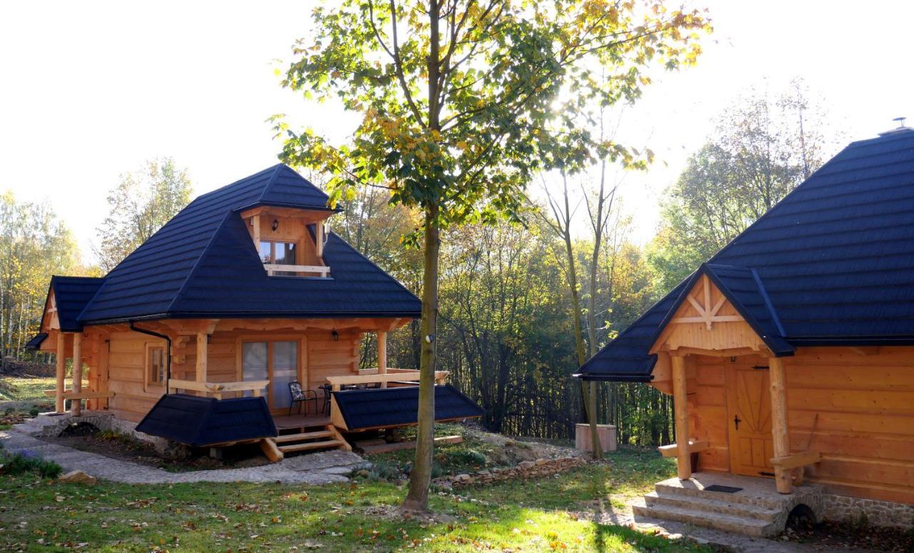 Osada Sudecka Villa Lądek-Zdrój Екстериор снимка