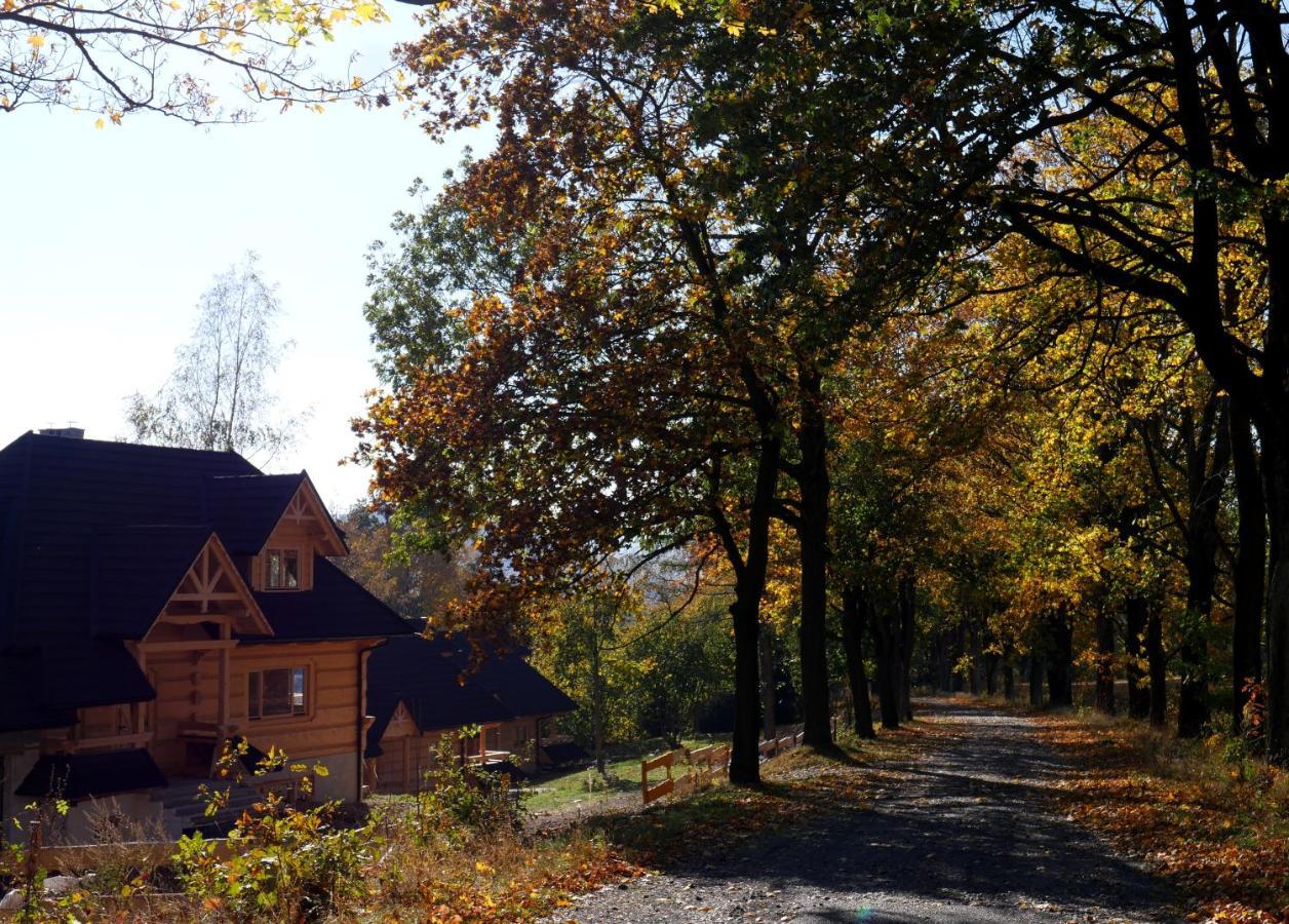 Osada Sudecka Villa Lądek-Zdrój Екстериор снимка