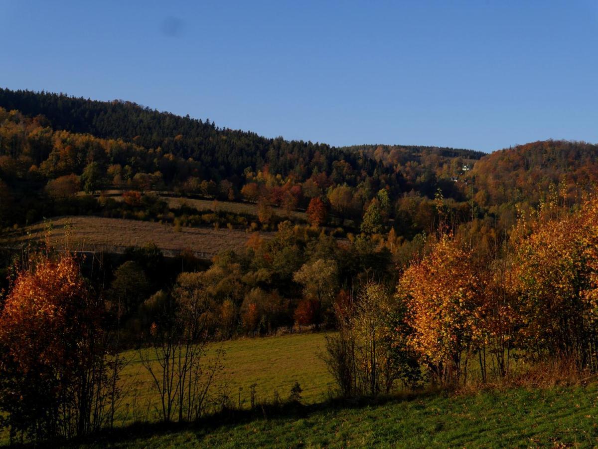 Osada Sudecka Villa Lądek-Zdrój Екстериор снимка