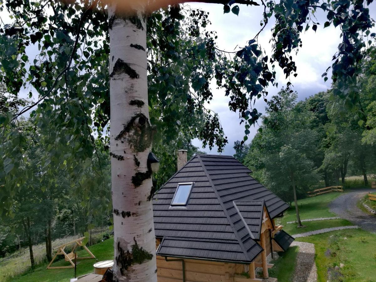 Osada Sudecka Villa Lądek-Zdrój Екстериор снимка