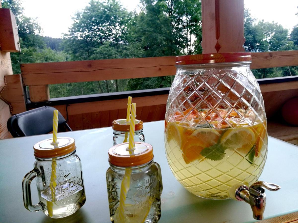 Osada Sudecka Villa Lądek-Zdrój Екстериор снимка
